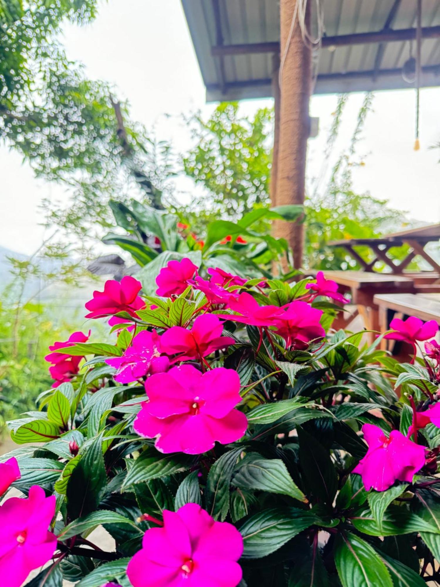 Will Guest Homestay Ella Εξωτερικό φωτογραφία